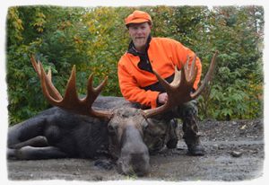 Maine Moose Hunting
