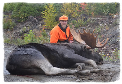 Experience the Thrill: Guided Moose Hunts in Canada