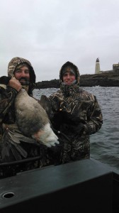 Dan P PEI banded Goose banded 2014 shoy nov 2016     