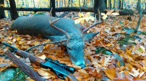 waterboro deer 2016 10pt 140lbs 3